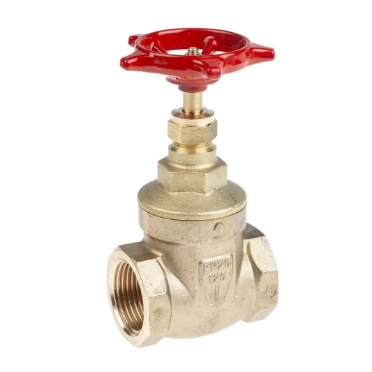 Pex gate valve 1"